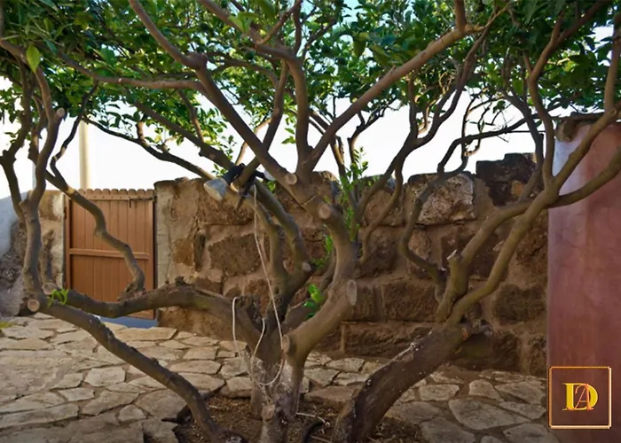 Dammusi Ambra Ferienhaus Scauri (Sicily)