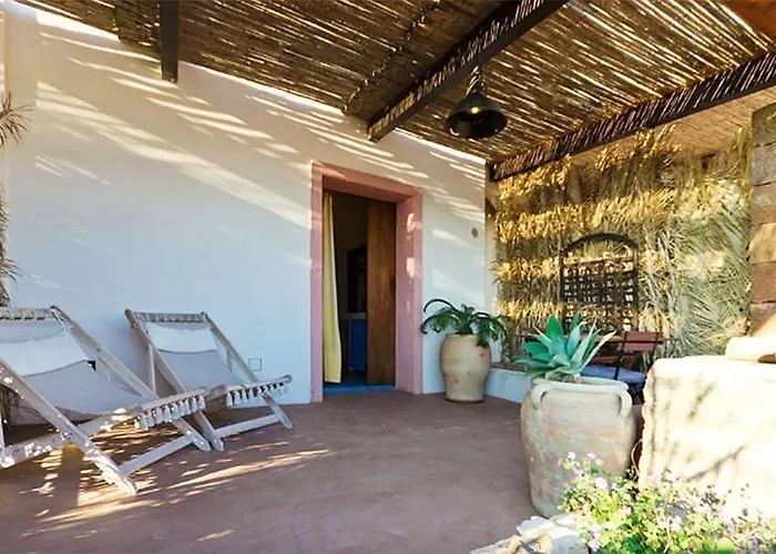 Dammusi Ambra * スカウリ